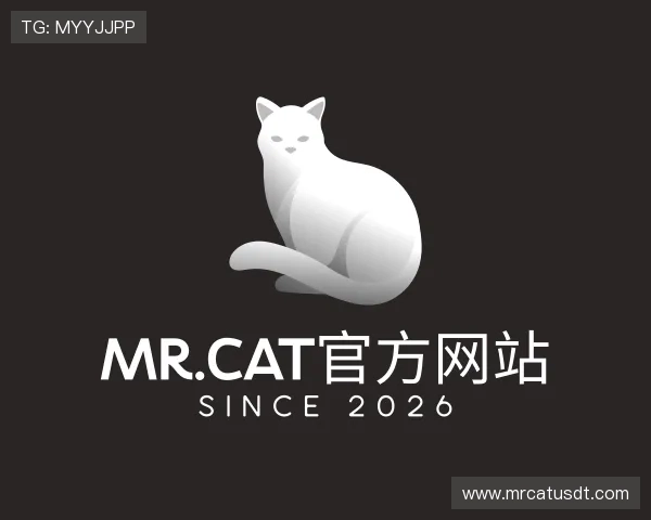 解读Mr.Cat官方网站